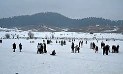 Srinagar: ರಮ್ಯ ಮನೋಹರ ಹಿಮವರ್ಷದೊಂದಿಗೆ ಹೊಸ ವರ್ಷಕ್ಕೆ ಸ್ವಾಗತ ಕೋರಿದ ಕಾಶ್ಮೀರ