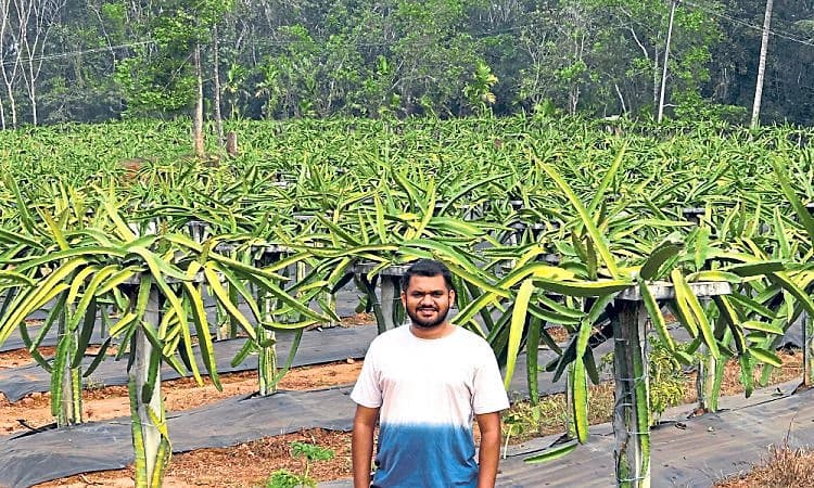 Sullia: ಹಣ್ಣಿನ ಗಿಡ ನೆಟ್ಟು ಶ್ರೇಯಸ್‌ ಪಡೆದ ಸುಳ್ಯದ ಯುವ ಕೃಷಿಕ