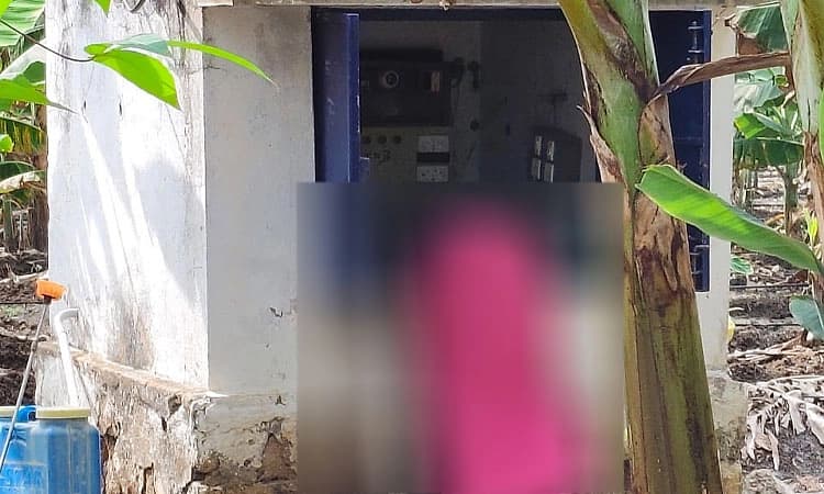 Gundlupete: ವಿದ್ಯುತ್ ಸ್ಪರ್ಶ: ಕೂಲಿ ಕಾರ್ಮಿಕ ಸಾವು