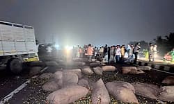 Hasana: ಬೊಲೆರೋ ವಾಹನ ಟೈರ್‌ ಸ್ಫೋಟ: ಮೂವರು ಸಾವು