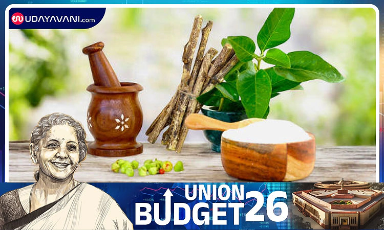 Union budget boost expected to energise Ayurveda sector in coastal Karnataka