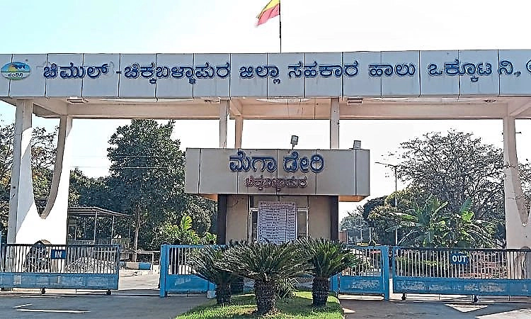 Chikkaballapur Chimul polls: Congress-backed candidates emerge ahead, no clear majority