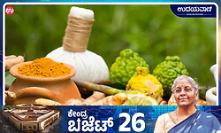 Union Budget: ಸಂಶೋಧನೆಗೆ ಬಲ ತುಂಬಲು ದೇಶದಲ್ಲಿ 3 ಹೊಸ 'ಆಯುರ್ವೇದ ಏಮ್ಸ್' ಸ್ಥಾಪನೆ