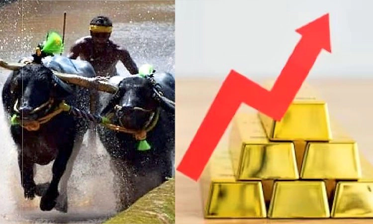 ಕಂಬಳಕ್ಕೂ ತಟ್ಟಿದ ಬಂಗಾರ ಬೆಲೆ ಏರಿಕೆಯ ಬಿಸಿ;ಮುಂದಿನ ಕಂಬಳಗಳಲ್ಲಿ ಗೆದ್ದವರಿಗೆ ಚಿನ್ನ ಇಲ್ಲ ?