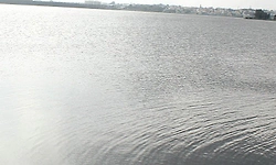 ಕಸದ ವಿಷ: 25 ಸಾವಿರಕ್ಕೂ ಅಧಿಕ ಕೆರೆಗಳು ಅಪಾಯದಲ್ಲಿ