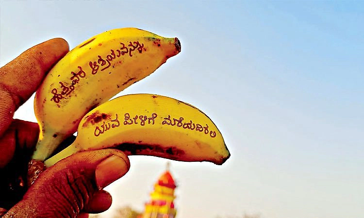 ರಥೋತ್ಸವ ಮತ್ತು ಬಾಳೆಹಣ್ಣು!