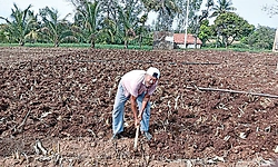 ಸ್ವಚ್ಛಂದ ನಗರದಂಥ ನಿರಾಶ್ರಿತ ತಾಣ!