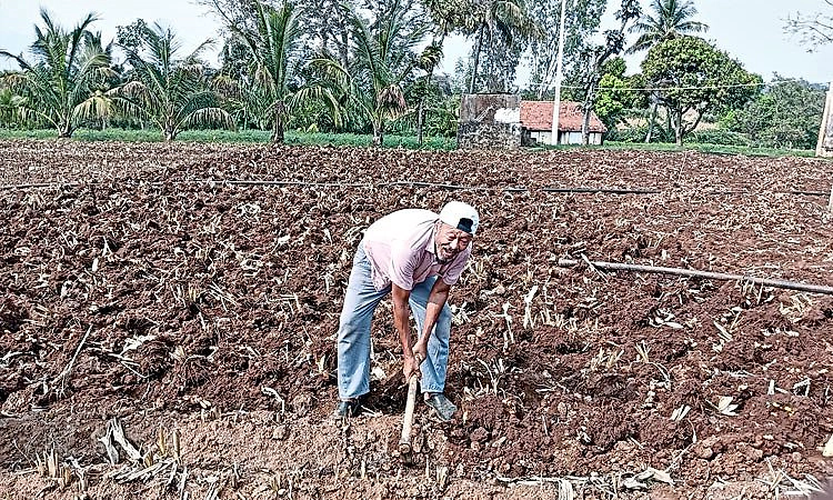 ಸ್ವಚ್ಛಂದ ನಗರದಂಥ ನಿರಾಶ್ರಿತ ತಾಣ!