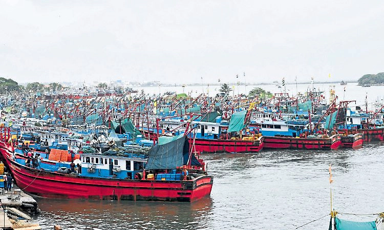 Mangaluru: ಪೋರ್ಟ್‌ ವಾರ್ಡ್‌ನಲ್ಲಿ ಸ್ವಚ್ಛತೆಗೆ ಧಕ್ಕೆ!
