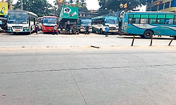 Udupi: ಕೃಷ್ಣನೂರಿನಲ್ಲಿ ಸಮಸ್ಯೆಗಳು ಹತ್ತಾರು!