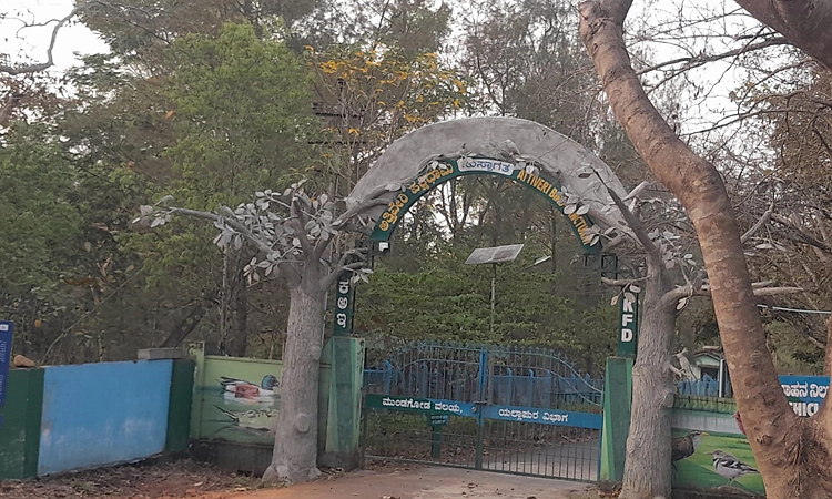 ಅತ್ತಿವೇರಿಯಲ್ಲಿ ಕ್ಷೀಣಿಸುತ್ತಿದೆ ಪ್ರವಾಸಿಗರ ಸಂಖ್ಯೆ