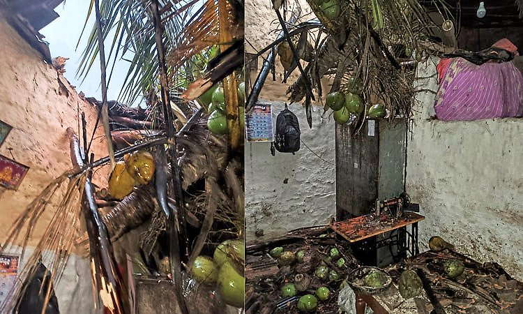 ಗಾಳಿ ಮಳೆಗೆ ಮನೆಯ ಮೇಲೆ ಬಿದ್ದ ತೆಂಗಿನ ಮರ... ತಾಯಿ- ಮಗನಿಗೆ ಗಾಯ