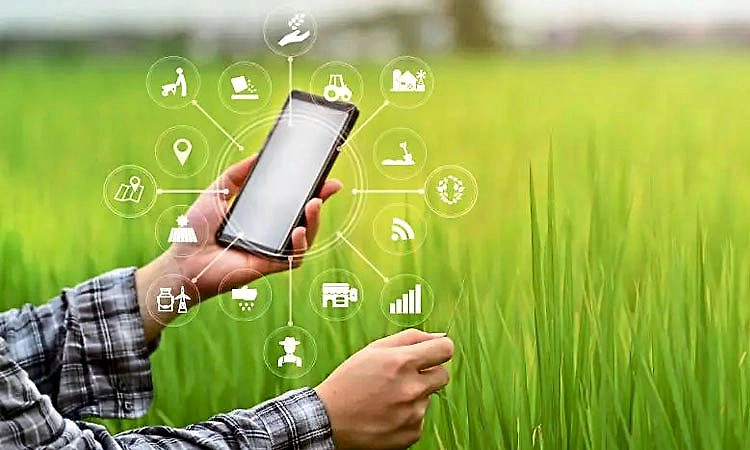 Farmer-friendly apps: ರೈತಸ್ನೇಹಿ ಕೃಷಿ ಸಂಬಂಧಿ ಆ್ಯಪ್‌ಗಳು