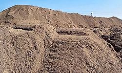 Kota: ಹೊಸಾಳ ನಾಗರಮಠ; ಸ್ಥಳೀಯರ ಪ್ರತಿಭಟನೆ ಲೆಕ್ಕಿಸದೇ ಮರಳು ತೆರವು