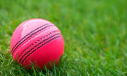 ICC to allow use of pink ball on trial basis in Tests affected by bad light