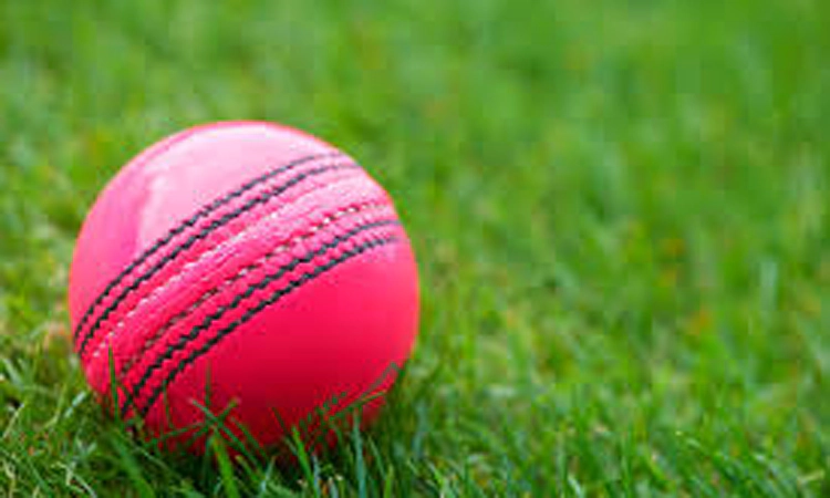 ICC to allow use of pink ball on trial basis in Tests affected by bad light