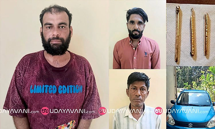 Hebri: 60 ಲಕ್ಷ ರೂಪಾಯಿ ಮೌಲ್ಯದ ಚಿನ್ನಾಭರಣ ಕಳವು ಪ್ರಕರಣ; ಆರೋಪಿಗಳ ಬಂಧನ  