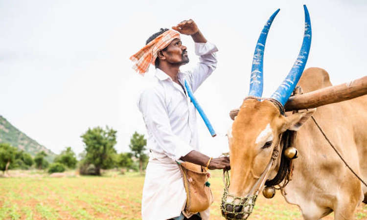 After a dry June, IMD warns of weak July rains