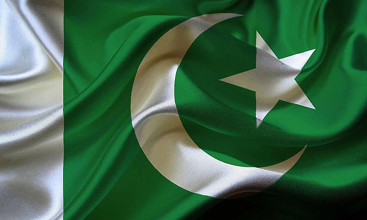 Pakistan gets its own 'Cockroach Party' as Instagram movement gains traction