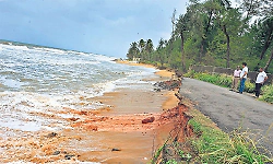 Sea erosion damages CPCRI compound wall in Kasaragod, research farm under threat