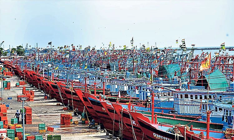 Fishing resumes in Mangaluru, Malpe after two-month monsoon ban