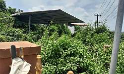 Amar Jawan Park turns into a forest as construction stalls midway