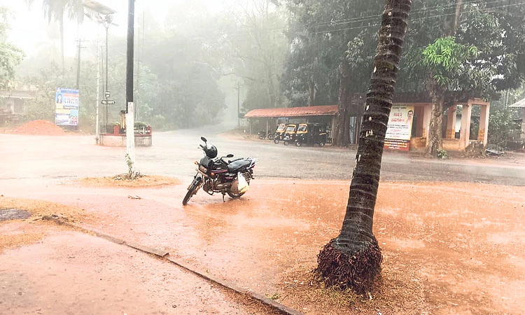 ದಕ್ಷಿಣ ಕನ್ನಡ, ಉಡುಪಿ ಜಿಲ್ಲೆಯಾದ್ಯಂತ ಬಿರುಸಿನ ಮಳೆ