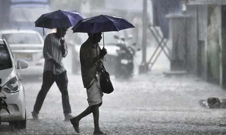 Mangaluru: ಭಾರೀ ಮಳೆ ಮುನ್ಸೂಚನೆ.. 24 ಗಂಟೆಯೂ ಸನ್ನದ್ಧರಾಗಿರಲು ಅಧಿಕಾರಿಗಳಿಗೆ ಡಿಸಿ ಸೂಚನೆ