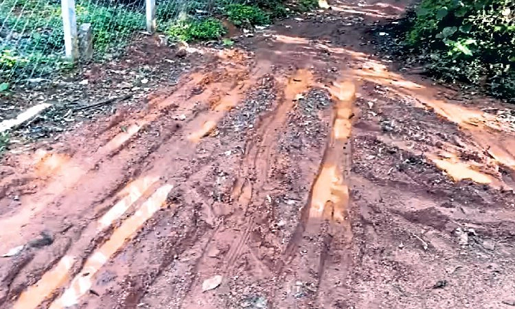 ಅನಾರೋಗ್ಯ ಕಾಡಿದರೆ 1 ಕಿ.ಮೀ. ಹೊತ್ತೇ ಸಾಗಬೇಕು!