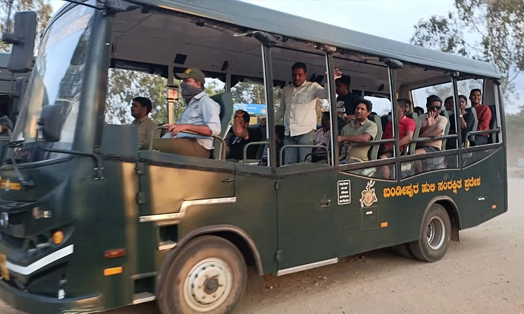 Bandipur: ವನ್ಯಜೀವಿ ಸಫಾರಿ ದರ ಹೆಚ್ಚಳ, ವಯಸ್ಕರ ಬಸ್ ಟಿಕೆಟ್ ದರ 1 ಸಾವಿರಕ್ಕೆ ಏರಿಕೆ