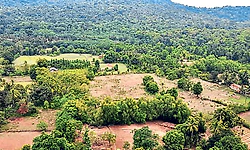 Kasturirangan Report: ಪರಿಸರದ ಹೆಸರಿನಲ್ಲಿ ಬದುಕಿಗೆ ಅನಿಶ್ಚಿತತೆ ಬೇಡ