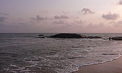 Mangaluru: ಸಮುದ್ರ ತೀರದಲ್ಲಿ ಅಪರಿಚಿತ ಮೃತದೇಹ ಪತ್ತೆ
