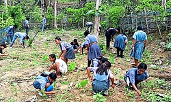 ಶಾಲೆಗಳಲ್ಲಿ ಪೌಷ್ಟಿಕ ವನ ಕಡ್ಡಾಯ