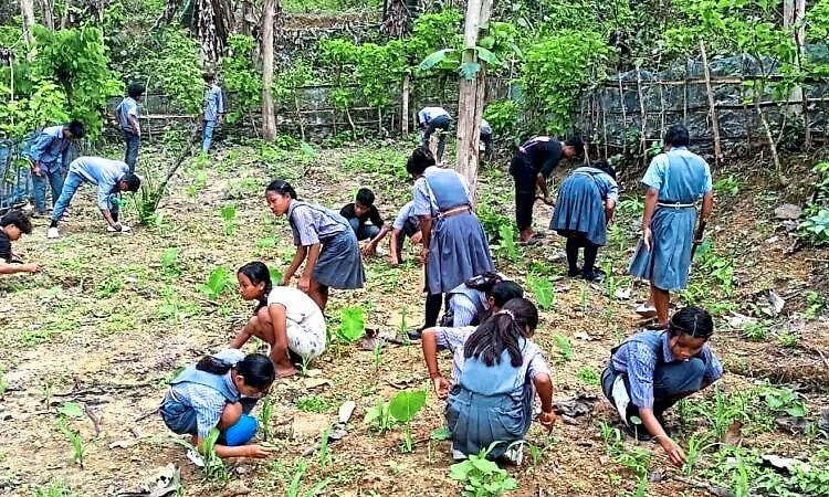ಶಾಲೆಗಳಲ್ಲಿ ಪೌಷ್ಟಿಕ ವನ ಕಡ್ಡಾಯ