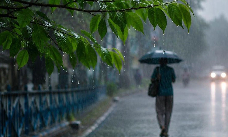Monsoon rain: DK sees 29% deficit, Udupi district records 32% less rain