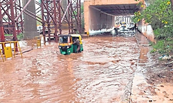 ಬೆಂಗಳೂರು:ನಗರದದಲ್ಲಿ ಸತತ ಮಳೆ,ಮರ ಬಿದ್ದು ಬಸ್‌, ಟ್ರಕ್‌,ಬೈಕ್‌ ಜಖಂ