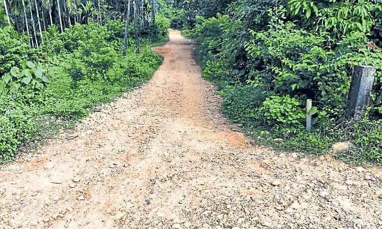 ಪ್ರಧಾನಿಗೆ 3 ಬಾರಿ ಪತ್ರ ಬರೆದರೂ ಪಟ್ರಮೆ ರಸ್ತೆ ಅಭಿವೃದ್ಧಿ ಆಗಲೇ ಇಲ್ಲ!