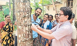 ತೆಂಗು ಬೆಳೆಗಾರರಿಗೆ ವಿಜ್ಞಾನಿಗಳ ಅಭಯ
