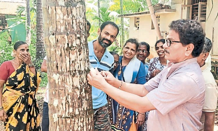 ತೆಂಗು ಬೆಳೆಗಾರರಿಗೆ ವಿಜ್ಞಾನಿಗಳ ಅಭಯ