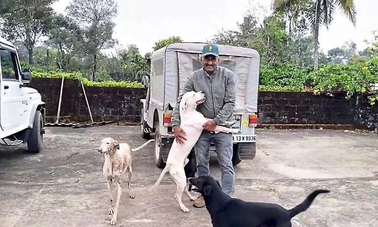 Missing toddler found safe in Kodagu estate with help of pet dog