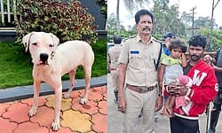 ನಾಪತ್ತೆಯಾದ ಮಗು ಪತ್ತೆ: ರಾತ್ರಿ ಇಡೀ ಕಾಫಿ ತೋಟದಲ್ಲಿದ್ದ ಪುಟಾಣಿಯ ಸುಳಿವು ನೀಡಿದ ಶ್ವಾನ