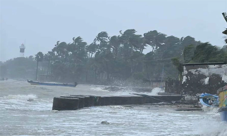 Cyclone; ಸೆನ್ಯಾರ್‌, ದಿತ್ವಾ ಅಬ್ಬರಕ್ಕೆ ಒಟ್ಟಾರೆ 1000 ಮಂದಿ ಬಲಿ!