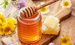 Honey; ಭಾರತದಲ್ಲಿ ಜೇನು ಕೃಷಿ;ಸಂಪೂರ್ಣ ಮಾಹಿತಿ ಇಲ್ಲಿದೆ