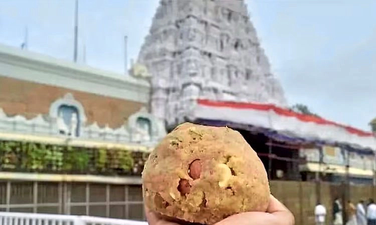 Tirupati: 2025ರಲ್ಲಿ ಅತಿ ಹೆಚ್ಚು ತಿರುಪತಿ ಲಡ್ಡು ಮಾರಾಟ: ಒಂದೇ ದಿನ 5 ಲಕ್ಷ ಲಡ್ಡು ಸೇಲ್!‌