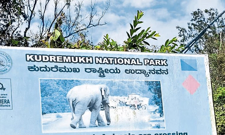 Karkala: ಕುದುರೆಮುಖ ಅರಣ್ಯ ವಿಭಾಗಕ್ಕೆ ಸಿಬಂದಿ ಕೊರತೆ