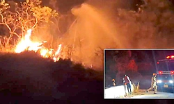 ಚಾರ್ಮಾಡಿ ಅರಣ್ಯದಲ್ಲಿ ಭಾರೀ ಬೆಂಕಿ: ಪಶ್ಚಿಮ ಘಟ್ಟಗಳ ಸೂಕ್ಷ್ಮ ಹುಲ್ಲುಗಾವಲು ಭಸ್ಮ