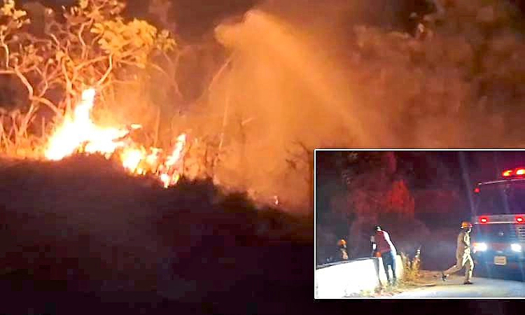 ಚಾರ್ಮಾಡಿ ಅರಣ್ಯದಲ್ಲಿ ಭಾರೀ ಬೆಂಕಿ: ಪಶ್ಚಿಮ ಘಟ್ಟಗಳ ಸೂಕ್ಷ್ಮ ಹುಲ್ಲುಗಾವಲು ಭಸ್ಮ