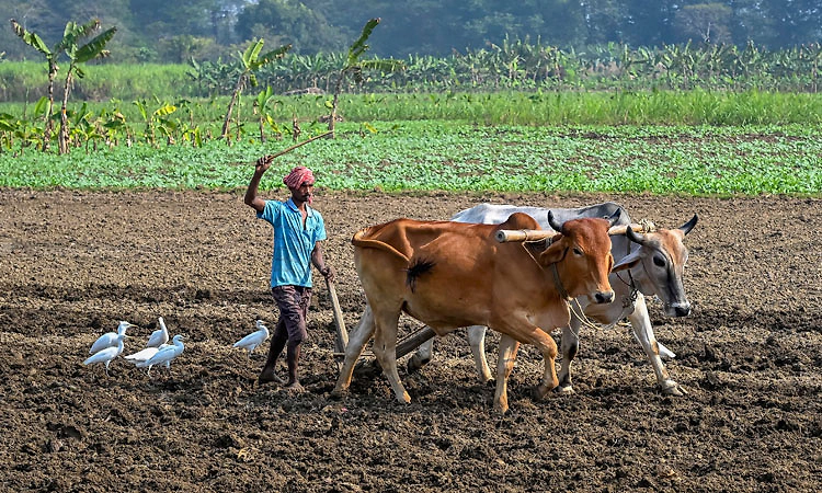 Union Budget: ಸಹಕಾರ ಸಂಘಗಳಿಗೆ ತೆರಿಗೆ ವಿನಾಯಿತಿ