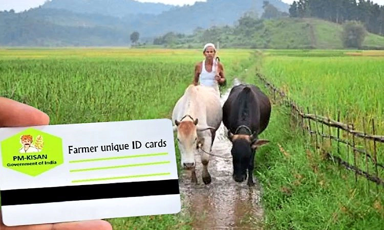 Kisan ID: ರೈತರಿಗೆ ಪ್ರತ್ಯೇಕ ಗುರುತಿನ ಸಂಖ್ಯೆ