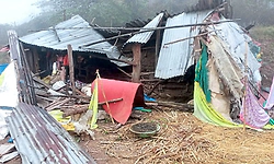 Dandeli: ಆಲೂರಿನಲ್ಲಿ ಕಾಡಾನೆ ಅಟ್ಟಹಾಸ; ದನದ ಕೊಟ್ಟಿಗೆ ಧ್ವಂಸ; ಎಮ್ಮೆ-ಕರುವಿಗೆ ಗಾಯ